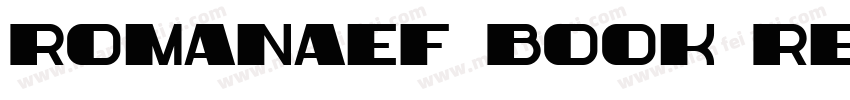 RomanaEF Book Regular字体转换